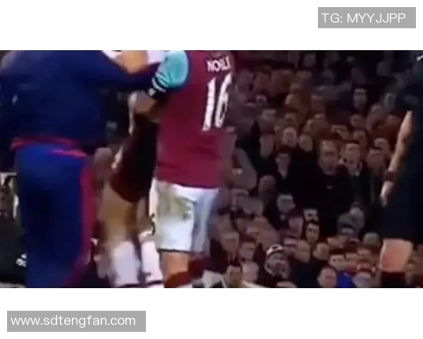 亲密接触足球明星揭秘他们的训练生活与场外趣事